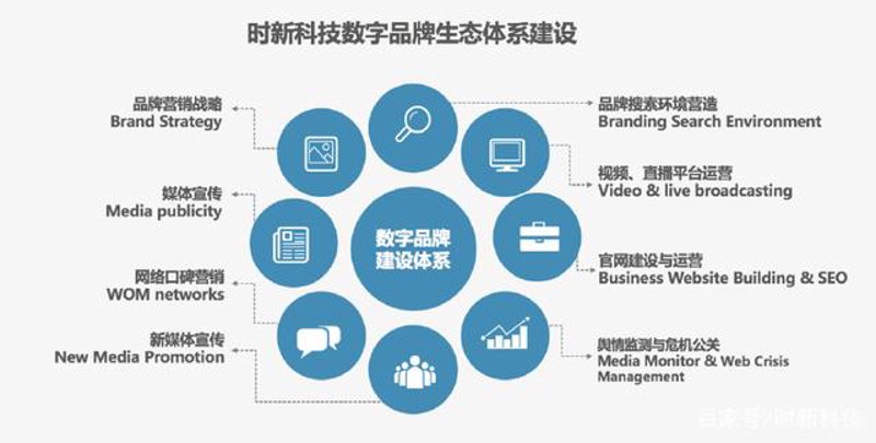 官网定制开发：如何打造专属品牌形象